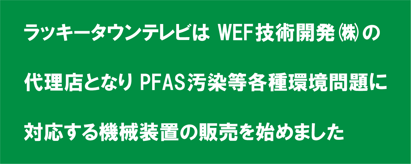 WEF